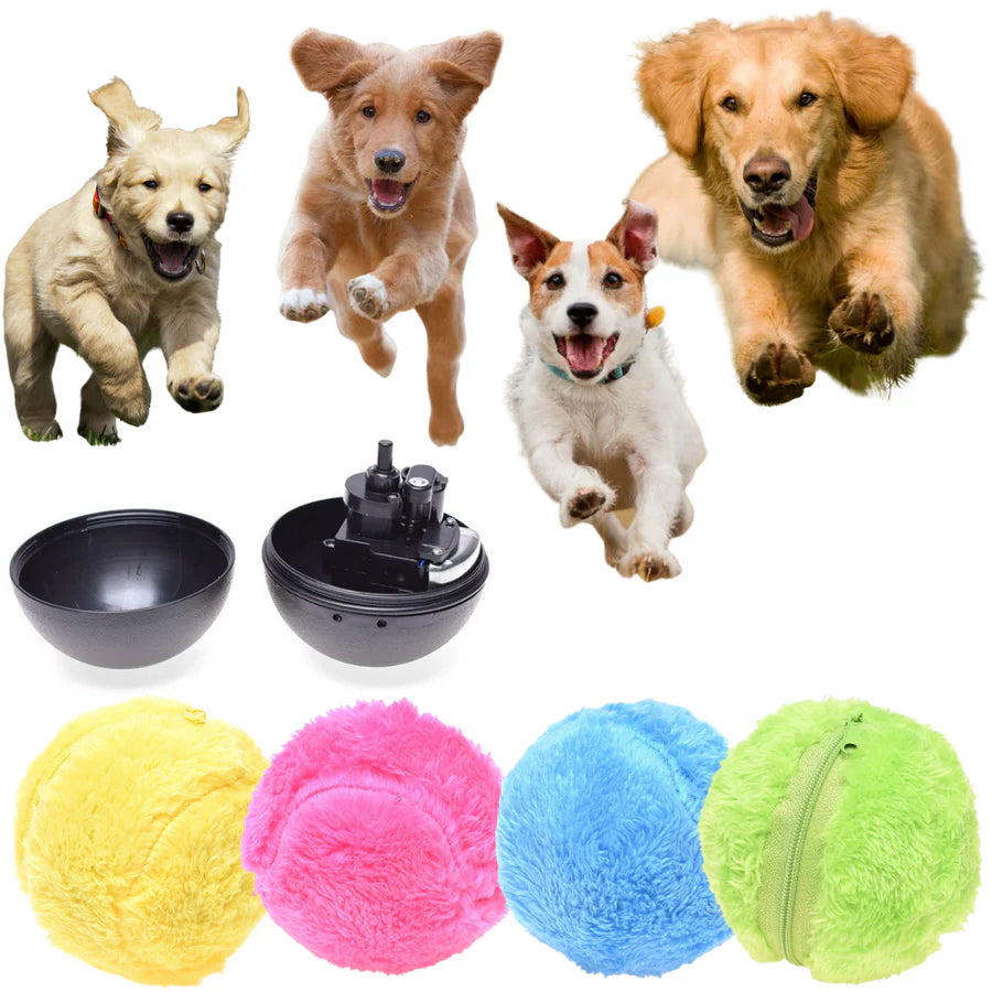 Interactive Dog Playtime Ball (4 Colors Included)