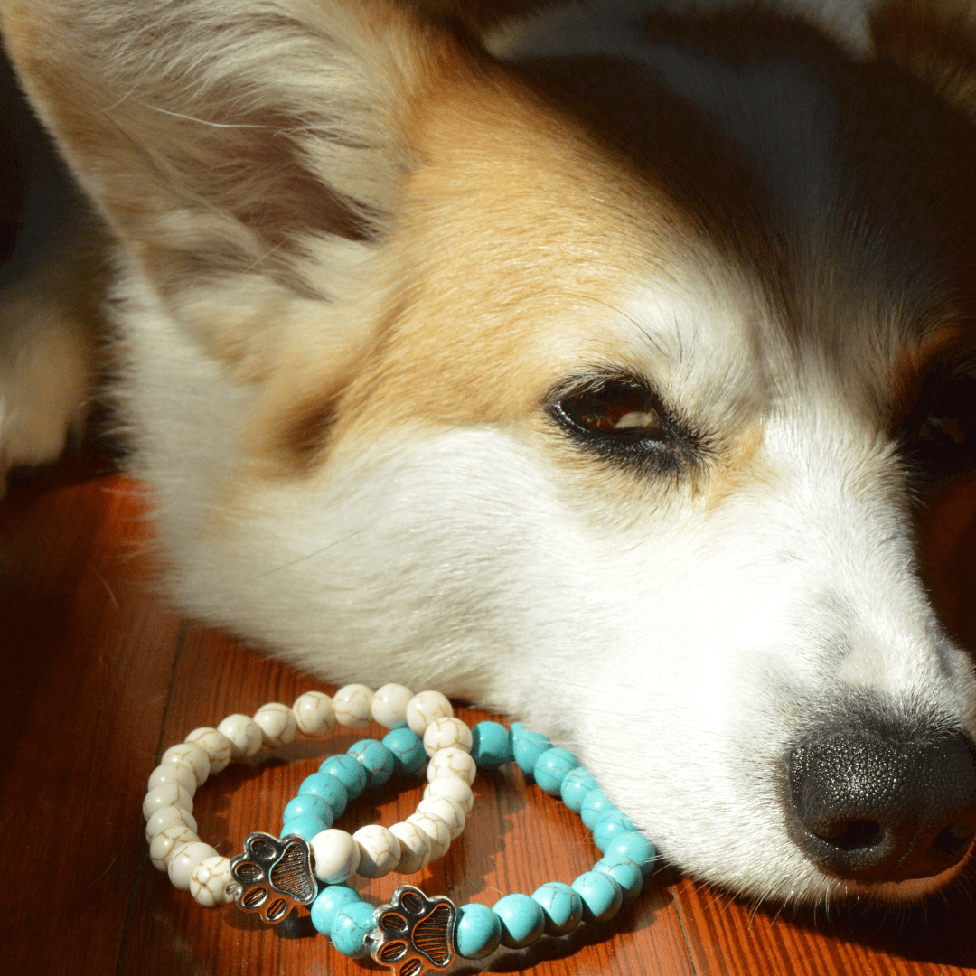 Puppy Love Bracelet for Dog Lovers