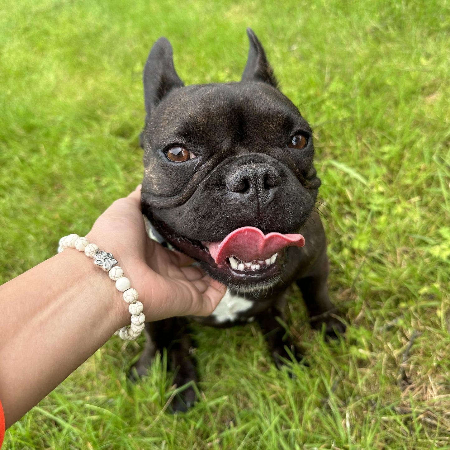 Puppy Love Bracelet for Dog Lovers