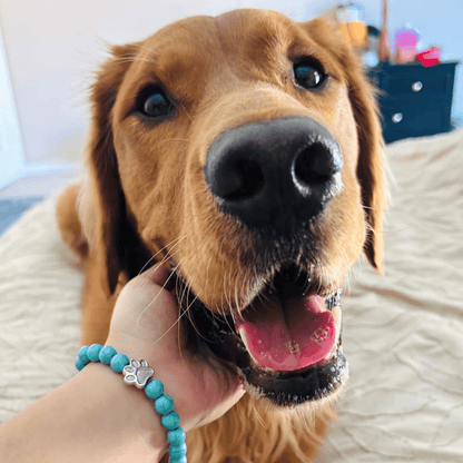 Puppy Love Bracelet for Dog Lovers